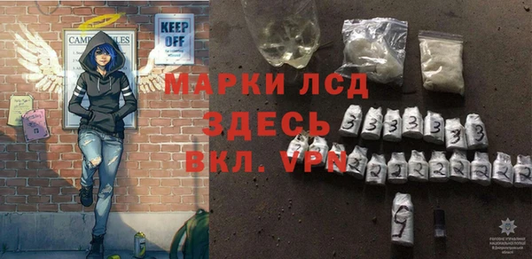 сатива Туринск