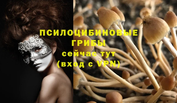 МДПВ Кулебаки