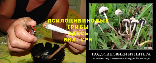 героин Кукмор